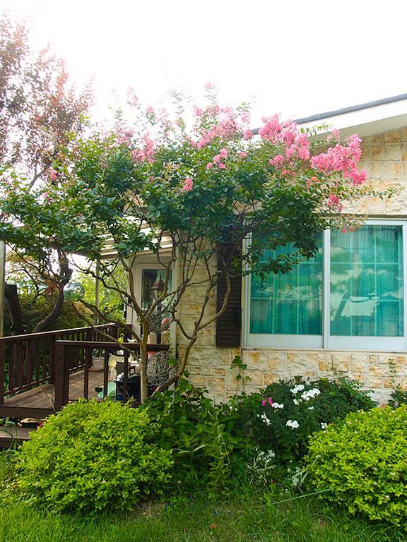 신디's B&B - 외국인 전용 서울특별시 외부 사진